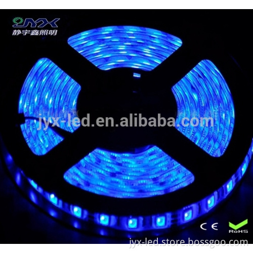 5m 3chips 12v led srip light Blue color SMD5050 light strip wholesale